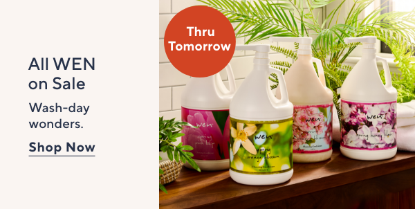 all wen on sale