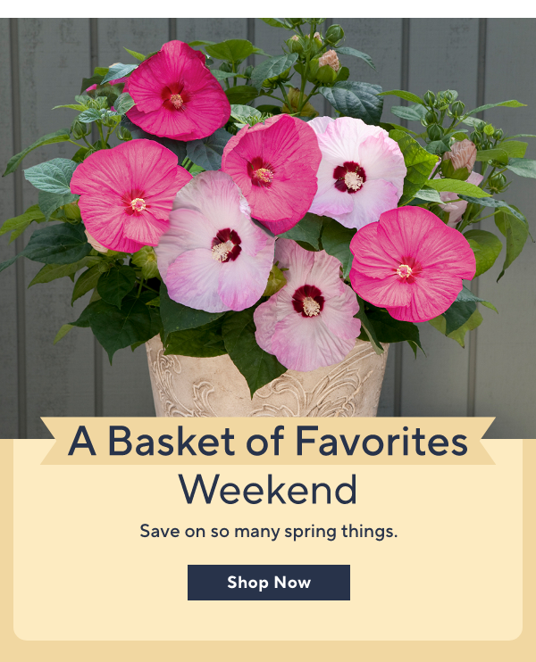 basket of favorites weekend