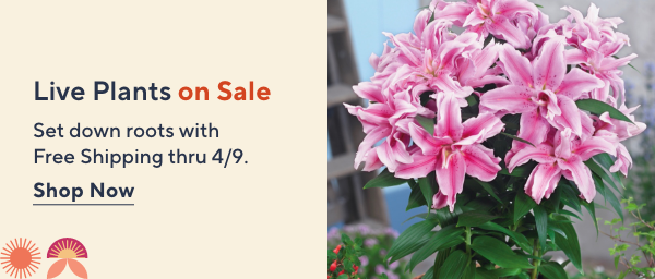live plants sale