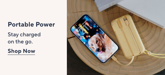 Portable Power