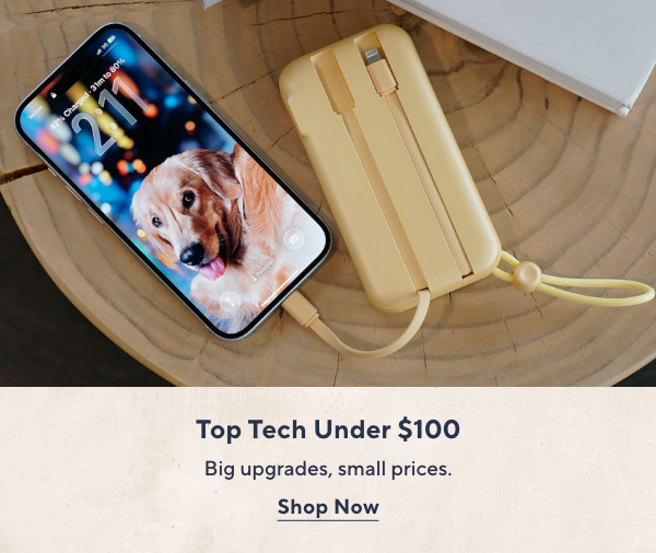 tech under $100