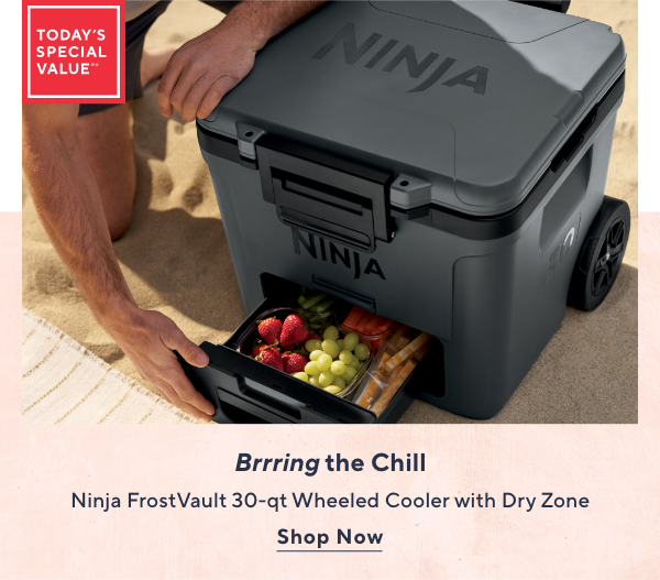Ninja TSV