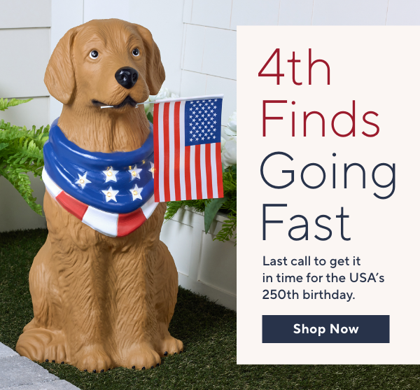 LAST CALL! Get It All In Time for July 4th!
