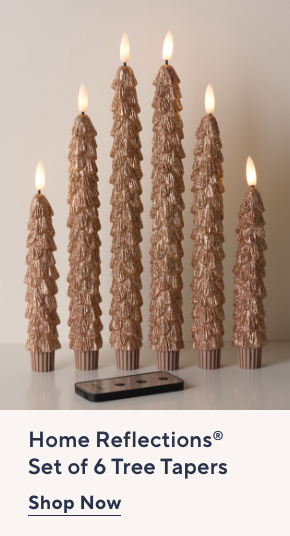 tree tapers