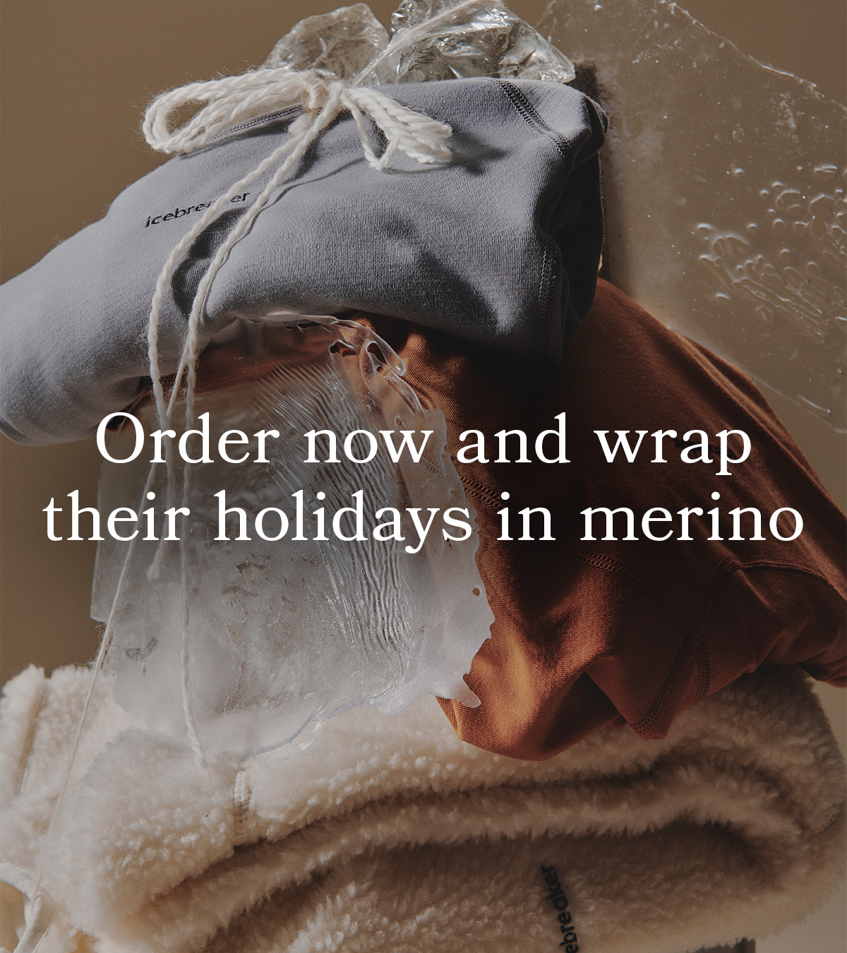 Order now hero banner