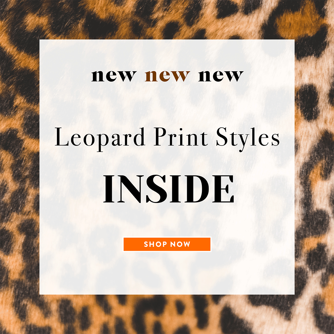 New Leopard Print Arrivals 🐆 Jack Rogers