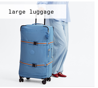 Large Luggage