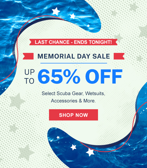 Last Chance Memorial Day Sale Up To 65% OFF | Shop Now