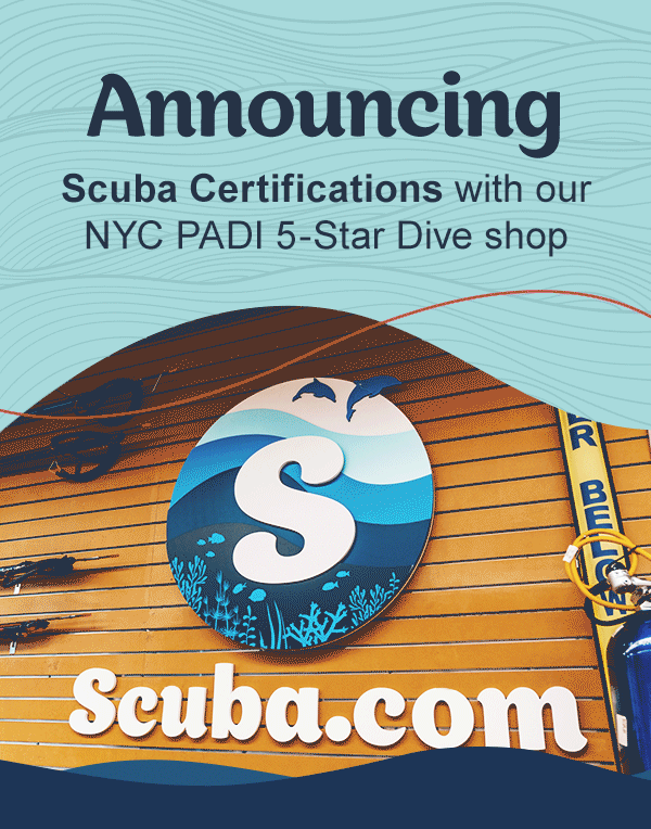 Classes Start September 25th With Our NYC Dive Shop 🤿 Leisure Pro
