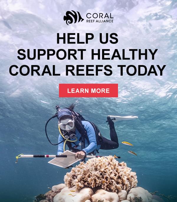 Coral Reef Alliance - Learn More