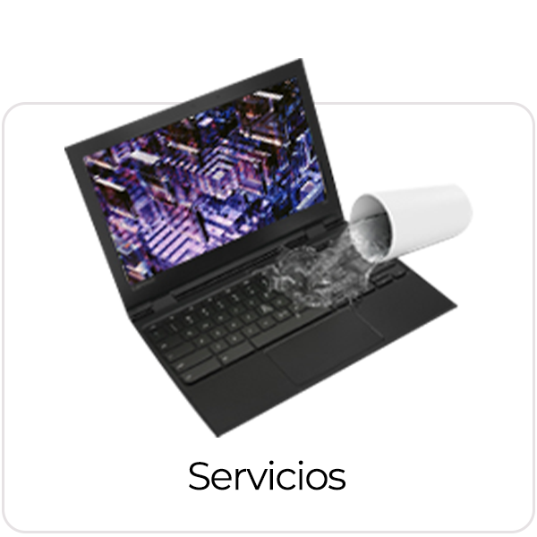 Servicios