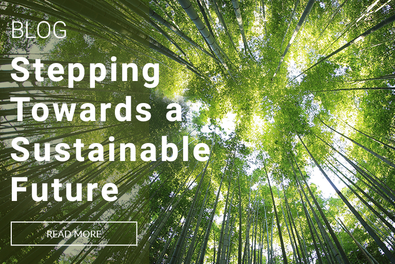 Blog Stepping towards a sustainable future Read more