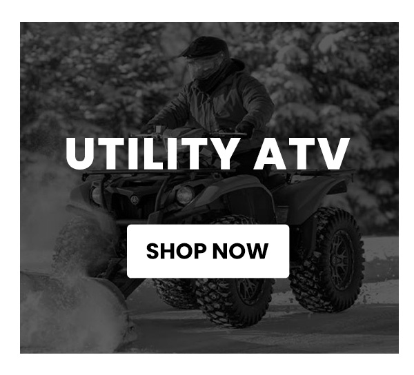 Utility ATV