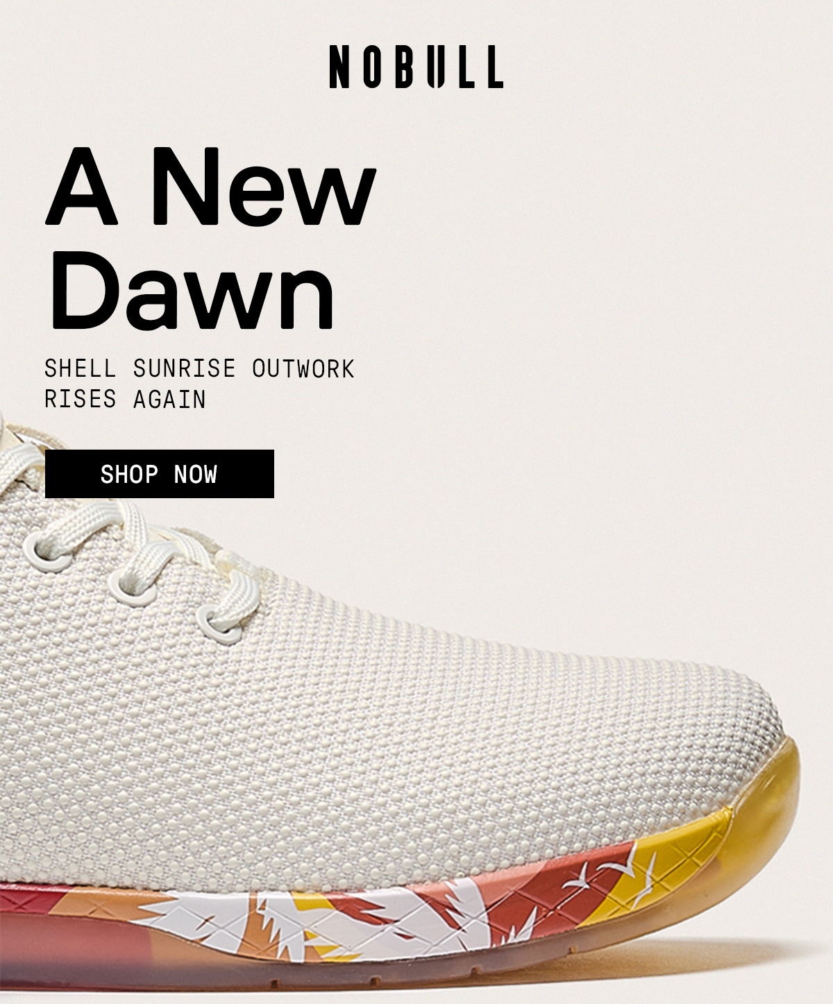 SHELL SUNRISE OUTWORK BACK IN STOCK