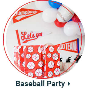 Baseball Party