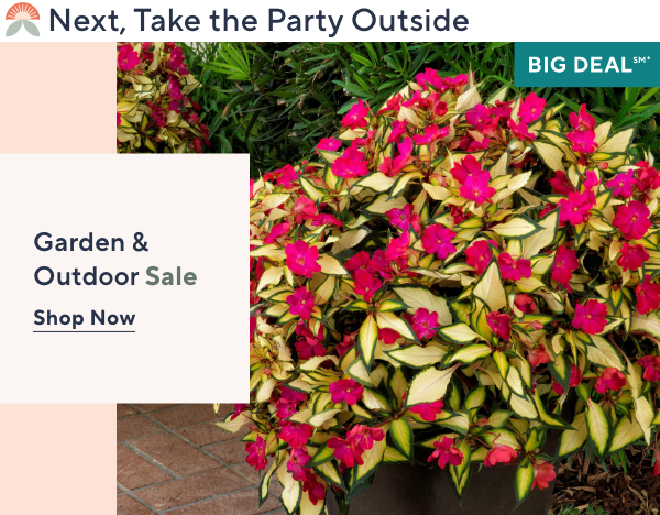 Garden & Outdoor Sale