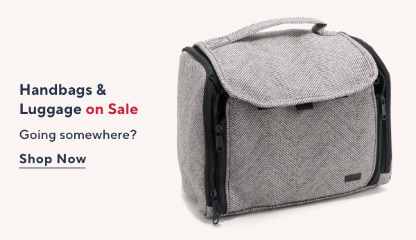 handbags and luggage sale