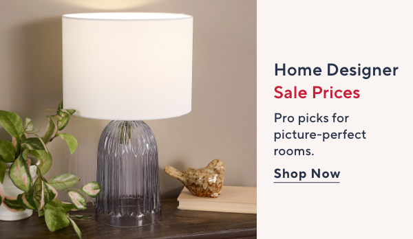 Home Designer Sale