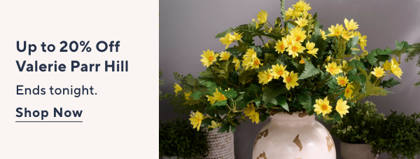 Up to 20% Off Valerie Parr Hill