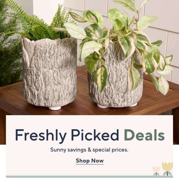 Freshly Picked Deals
