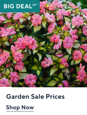 Garden Sale Prices