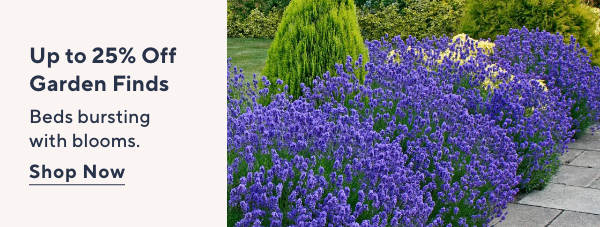 Up to 20% Off Garden Finds