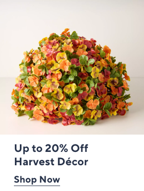 Up to 20% Off Harvest Decor