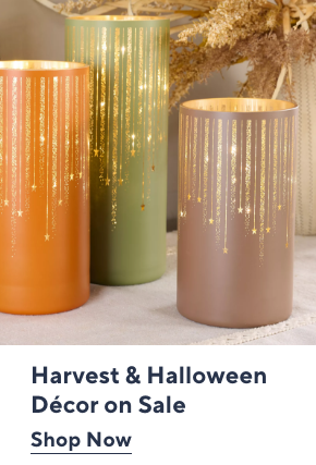 Harvest & Halloween Decor on Sale