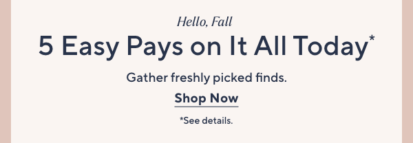 5 Easy Pays 