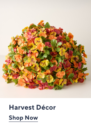 Harvest Decor