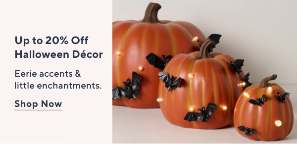 Up to 20% Off Halloween Decor