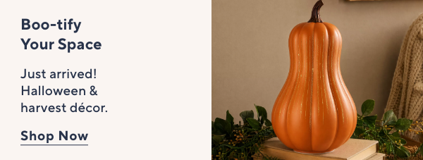 Boo-tify Your Space with Harvest and Halloween New Arrivals