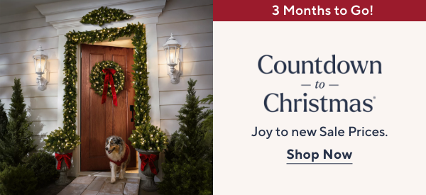 3 Months to Go! Countdown to Christmas