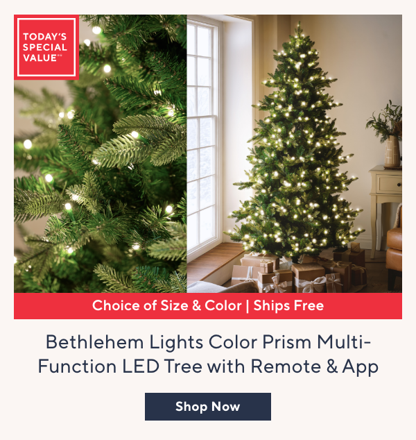 Bethlehem Lights TSV