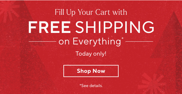 Free Shipping on Everything*