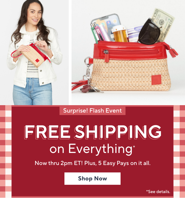 Surprise! Flash Event - Free Shipping on Everything! thru 2pm, plus 5 Easy Pays on it all