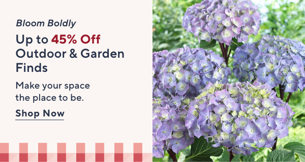 garden & outdoor
