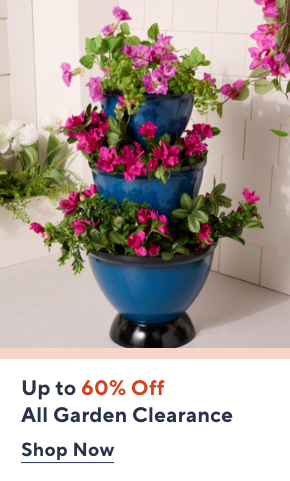 Up to 60% Off Garden Clearance
