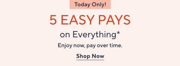 5 Easy Pays on Everything*