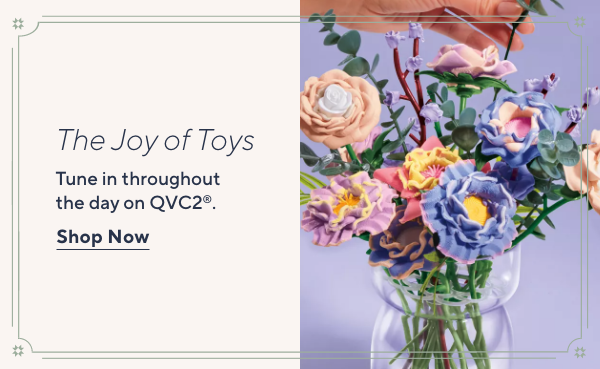 The Joy of Toys