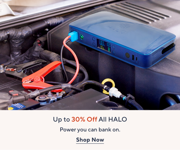 halo on sale