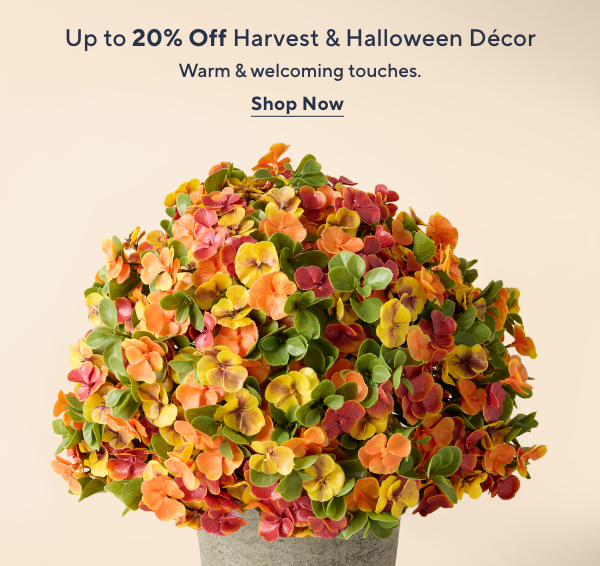 Up to 20% Off Harvest & Halloween Decor