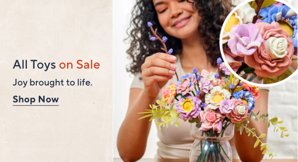all toys on sale