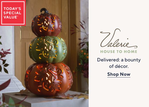 Valerie Parr Hill Fall Finds