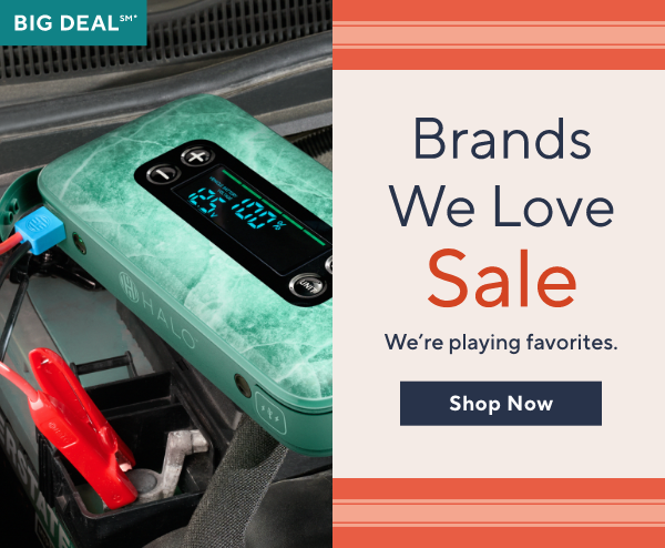 brands we love sale