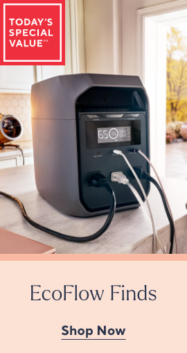 All EcoFlow on Sale
