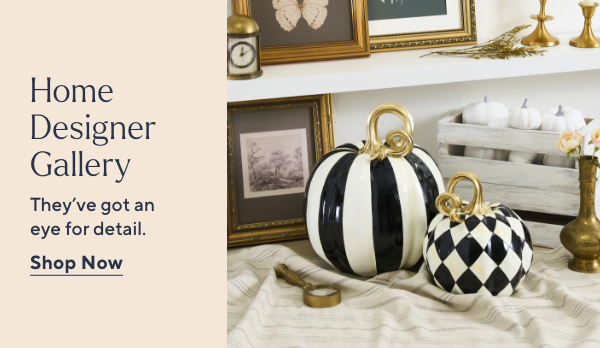 Home Designer Gallery