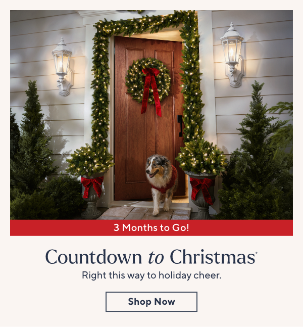 countdown to christmas