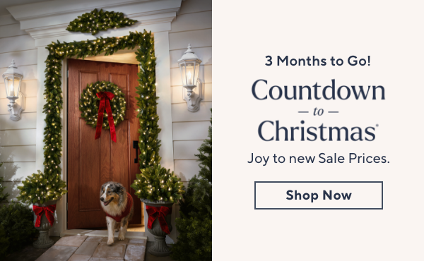 Countdown to Christmas