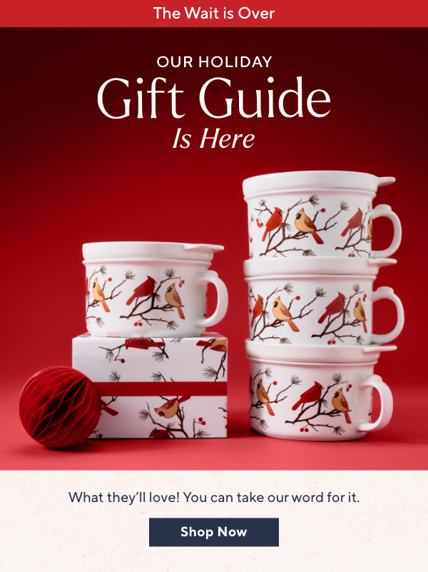 Our Holiday Gift Guide is Here